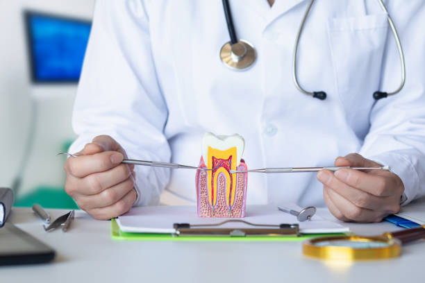 Best Emergency Tooth Extraction in Hephzibah, GA